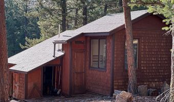 251 Haugen Slide Rd, Allenspark, CO 80510