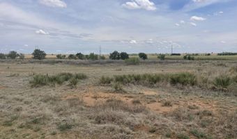 16903 N County Rd 2000, Abernathy, TX 79311