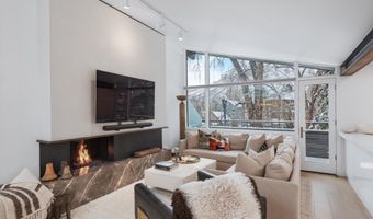 1001 E Cooper Ave 1, Aspen, CO 81611