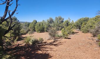 Tbd State Route 260, Clay Springs, AZ 85923