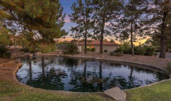 1517 S ASH Dr, Chandler, AZ 85286
