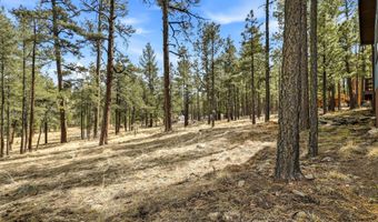 6 N CR 2148, Alpine, AZ 85920