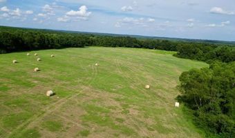 County Road 127, Banks, AL 36005