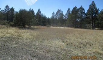 Couch Creek Road, Alturas, CA 96101