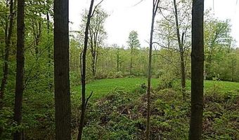 15252 27 Mile Rd, Albion, MI 49224