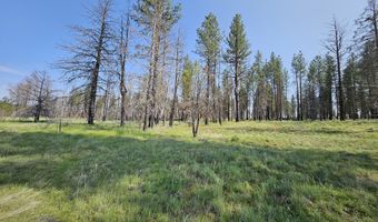 Parazoo Trail Lot 2 Block 8, Bly, OR 97622