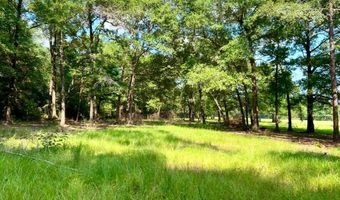 8645 Moores Mill Creek Rd, Baker, FL 32531