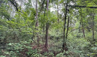 32477 Chapel Pine Drive Lot Cdt3, Albany, LA 70711