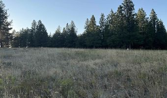 Tbd Harlow Ridge Rd - Cloverland Estates 35, Asotin, WA 99402