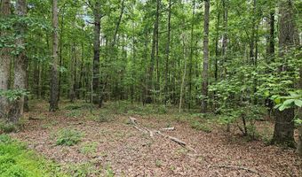 26 55 Acres Namozine Rd, Amelia Court House, VA 23002