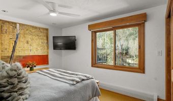 1020 E Durant Ave 301, Aspen, CO 81611