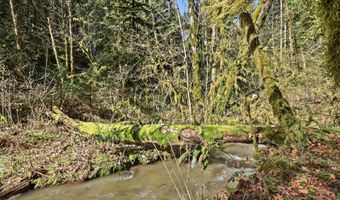NW Green Mountain Rd 1, Banks, OR 97106