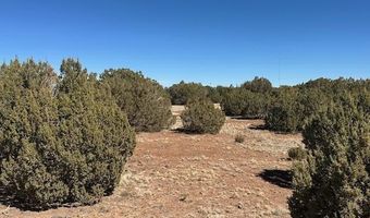 30 CR 8051 Rd, Concho, AZ 85924