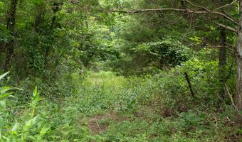3899 County Road 304, Alton, MO 65606