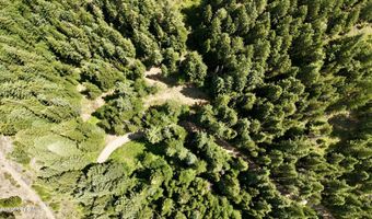 1710 Tower Mountain Rd, Blanchard, ID 83804