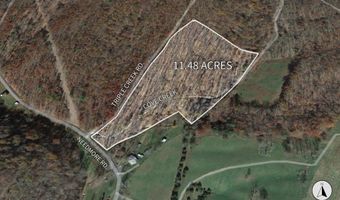 COVE CREEK Road lot 2, Baker, WV 26801