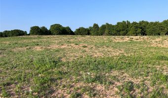 Tbd County Road 335, Anson, TX 79501