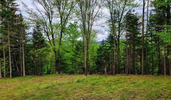 5897 VT-102, Bloomfield, VT 05905