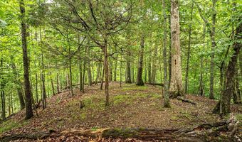 Wyldwood lot 50 & 51, Abingdon, VA 24211