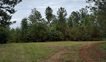 154 County Road 38 Acres, Banks, AL 36005