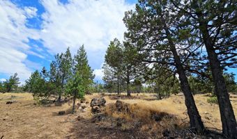 Canvasback Drive 28, Bonanza, OR 97623