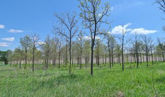 No Situs 3.14ac 636A Avenue, Auburn, NE 68305