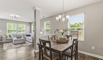 49 Paige Stone Way, Angier, NC 27501