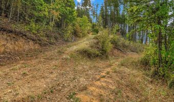 NKA Silver Creek Road, Clark Fork, ID 83811