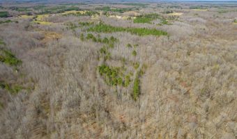 196 Pierce Rd, Beech Bluff, TN 38313