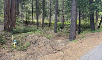 37 Iroquois Dr, Camp Connell, CA 95223