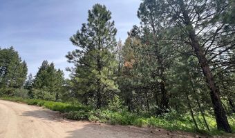 Tbd Hilltop Road 43 & 44, Cascade, ID 83611