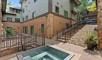 650 S Monarch St Unit 11, Aspen, CO 81611