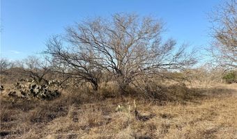 CR 119 lot 0, Alice, TX 78332