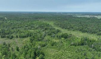 6002 Wildwood, Alger, MI 48610