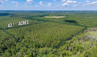 43 5 +/- A Old River Rd, Baker, FL 32531