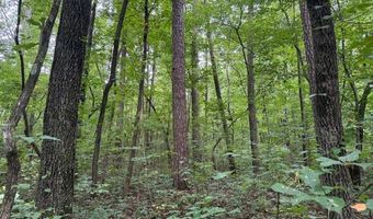 0 Carnes Chapel Rd, Attalla, AL 35954