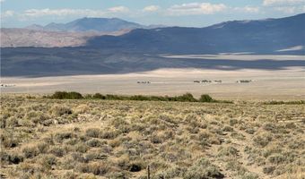 325 Davis Meadow Trl, Dyer, NV 89010