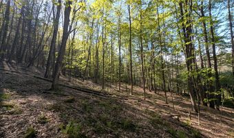 East River Road lot 5, Andes, NY 13731