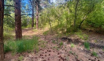 Tract B 266 Gallina Canyon Road, Valdez, NM 87580