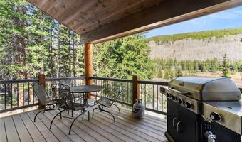 50 COONEY Ct, Blue River, CO 80424