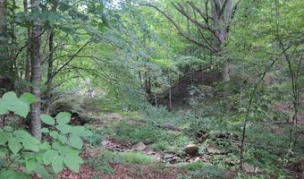 43 Sanctuary Ln, Alderson, WV 24910