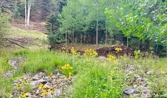 22954 Mt. Elbert Dr, Aguilar, CO 81020