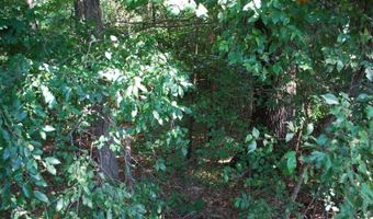 Lot 5 Neffwood LN, Bella Vista, AR 72715