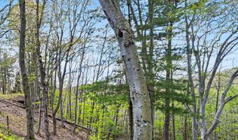 1890 Dillingham Dr, Allegan, MI 49010