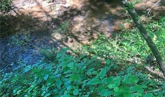 7700 Poole Cir Tract A, Alto, GA 30510