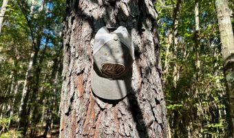 0 Lloyd Mill Rd, Andalusia, AL 36421