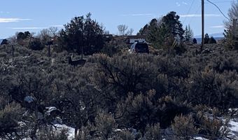 Mariposa, Arroyo Seco, NM 87514