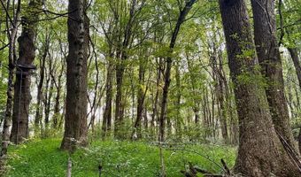 Conover Ln, Atkins, VA 24311