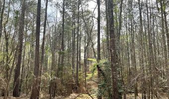 5000 County Road 53, Banks, AL 36005