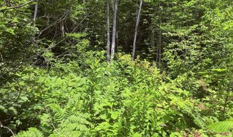 Jasper Street, Berlin, NH 03570